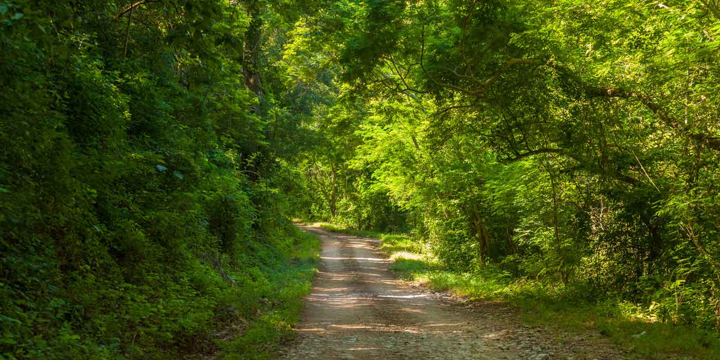 Oceanfront Property For Sale in Troncones, Mexico
