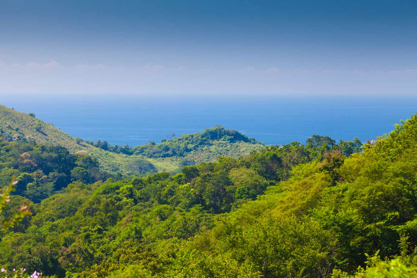 Oceanfront Property For Sale in Troncones, Mexico